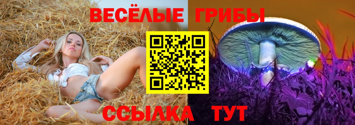 Галлюциногенные грибы мицелий Кызыл